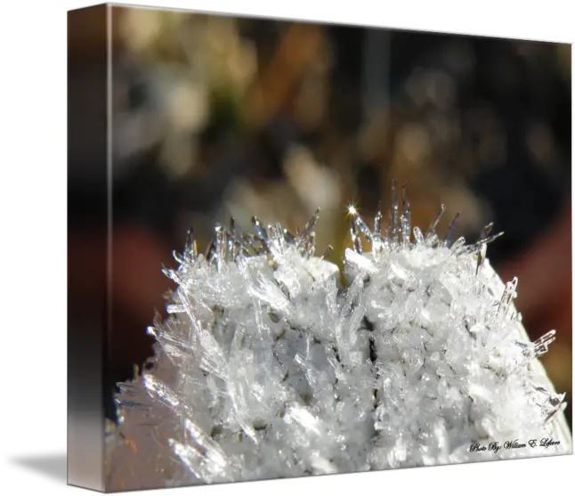 Ice Crystals By Captor Shared Frost Png Ice Crystal Png