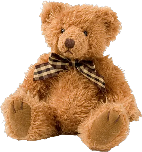 Imex Best Online Shopping Websites Transparent Background Teddy Bear Png Teddy Bear Icon Coat