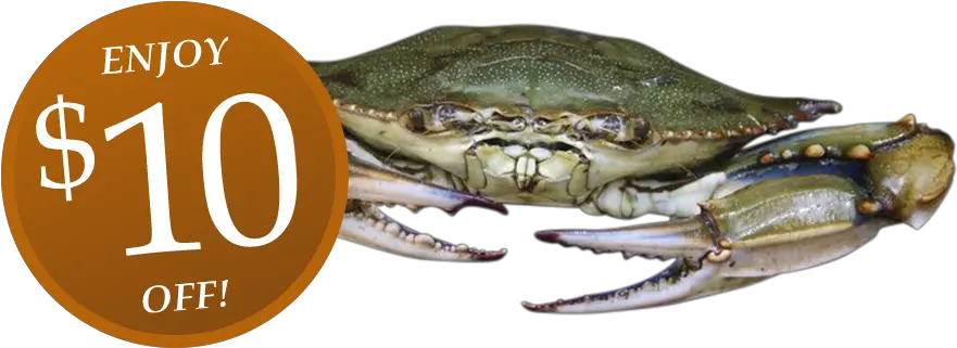 Oven Baked Softshell Crabs Dungeness Crab Png Crab Legs Png