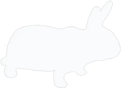 Member Store Morabbit Animal Figure Png Cute Rabbit Icon