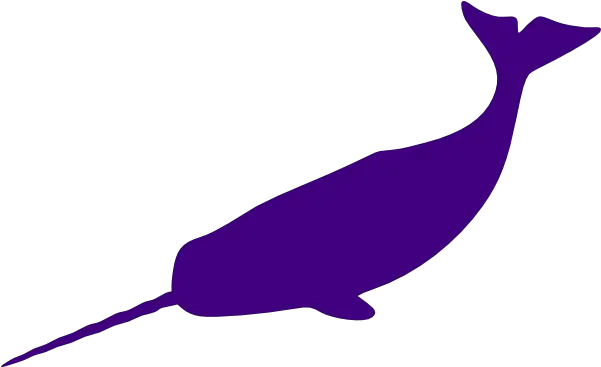 Narwhal Clipart Png People Narwhal Transparent Background Narwhal Png