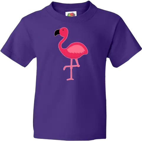 Flamingo Bird Youth T Greater Flamingo Png Flamingo Logo