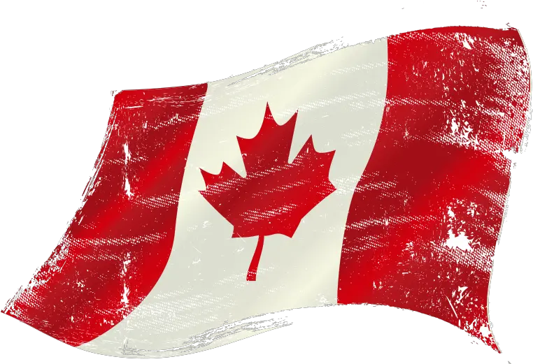 Watercolor Canadian Flag Vector Canada Flag Png Canada Png