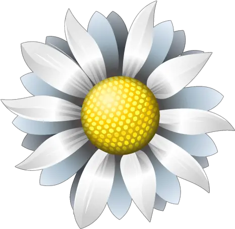 Icon Png Flower 1 Image Whote Flower Icon Png Flower Icon Png