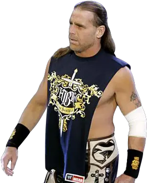 Fybrenders Professional Wrestler Png Shawn Michaels Png