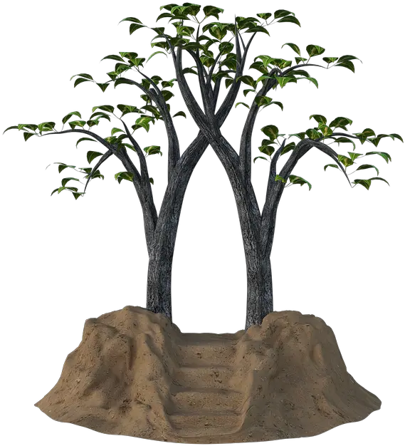 Portal Fantasy Trees Fantasy Trees Png Portal Png