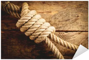 Noose Knot Sticker U2022 Pixers We Live To Change Noose Png Noose Transparent