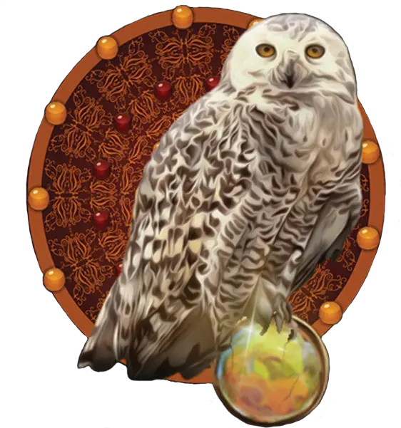 Annie Parnell Snowy Owl Png Owl Logo
