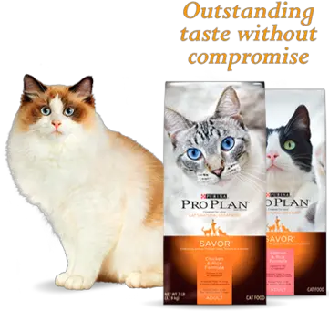 Pro Plan Cats Specialized Nutrition Concentrado Proplan Gato Png Cat Whiskers Png