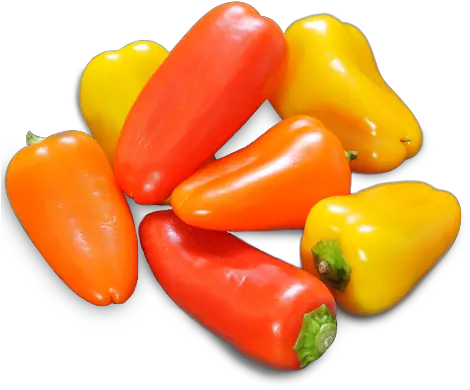 Mini Sweet Bell Peppers Transparent Habanero Chili Png Bell Pepper Png