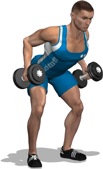 Download Hd Dumbell Png Transparent Esercizi Dorsali Manubri Dumbell Png