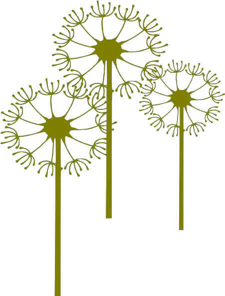 Dandelion Clipart Png Dandelion Stem Clipart Dandelion Png