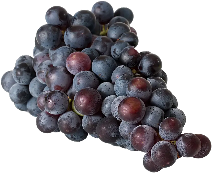 200 Free Table Grapes U0026 Images Pixabay Uvas Negras Png Grapes Transparent Background
