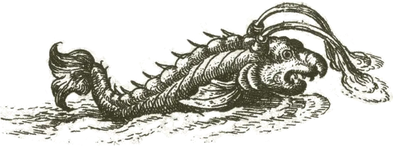Gallery Of Map Monsters Geography Realm Transparent Map Sea Monster Png Monsters Png
