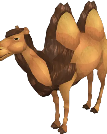 Cart Camel Runescape Wiki Fandom Dromedary Png Camel Png