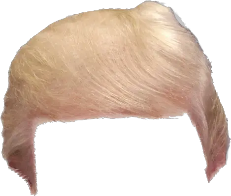 Donald Trump Hair Png Transparent 5 Trump Hair Png Trump Transparent Background