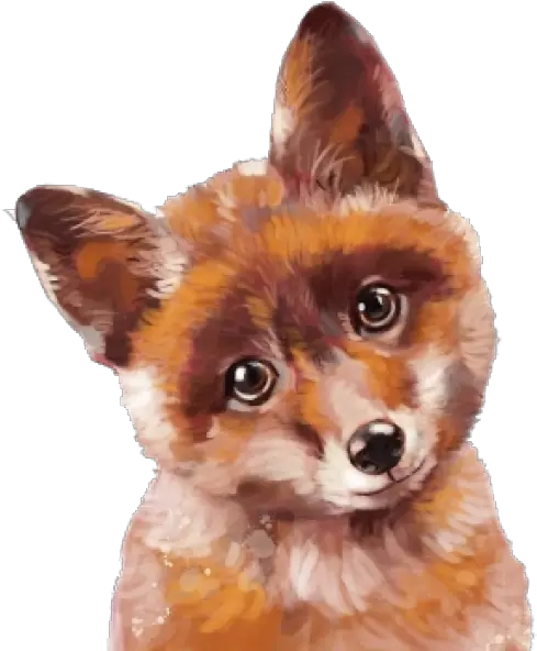 Baby Fox Png Baby Fox Png Fox Png