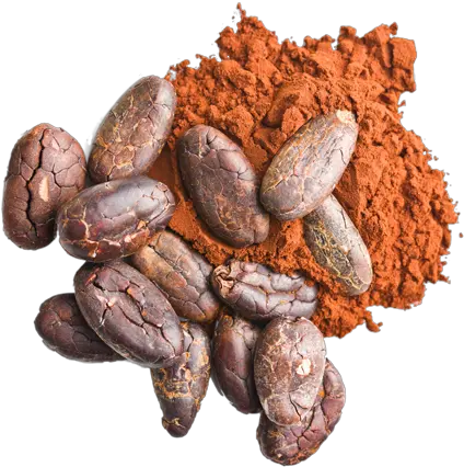 Cocoa Merchants Association Of America Kakao Gesund Png Cocoa Png