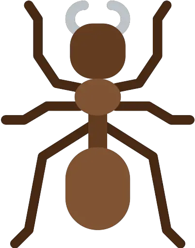 Ant Png Icon Ant Flat Icon Ant Png