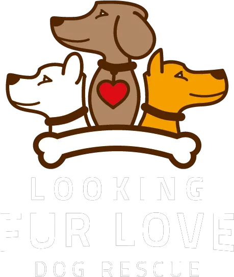 Looking Fur Love Dog Rescue Love Dogs Png Dog Logo