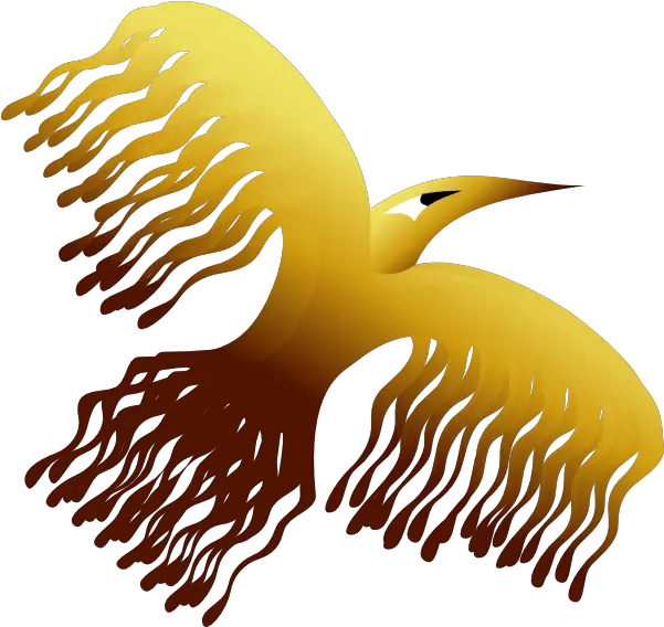 Phoenix Bird Clip Art Phoenix Bird Png Phoenix Bird Png