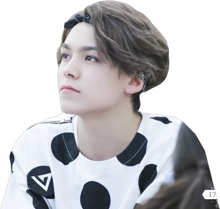 Download Svg Seventeen Transparent Png Images Vernon Curly Kpop Idols Who Are Not Korean Seventeen Png