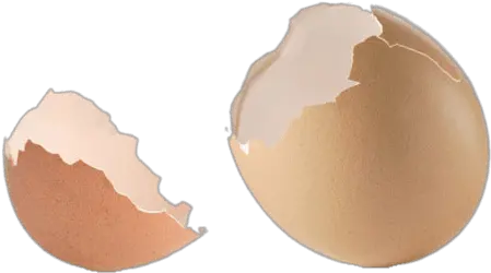 Pieces Of Eggshell Transparent Png Stickpng Egg Shells Transparent Background Peach Transparent Background