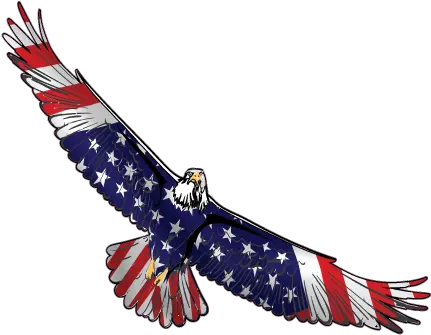 Png Image With Transparent Background Patriotic Png Patriotic Png