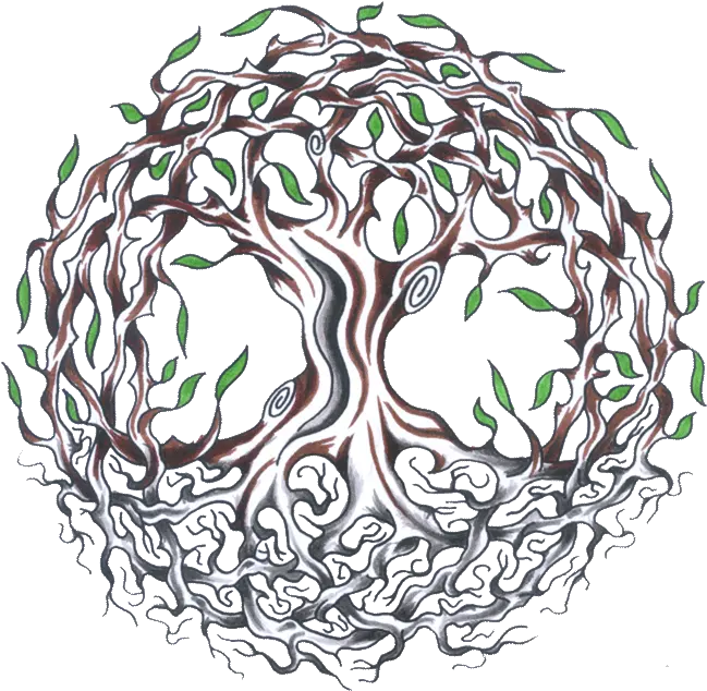 Celtic Tree Of Life Meaning Celtic Tree Of Life Tattoo Png Tree Of Life Transparent