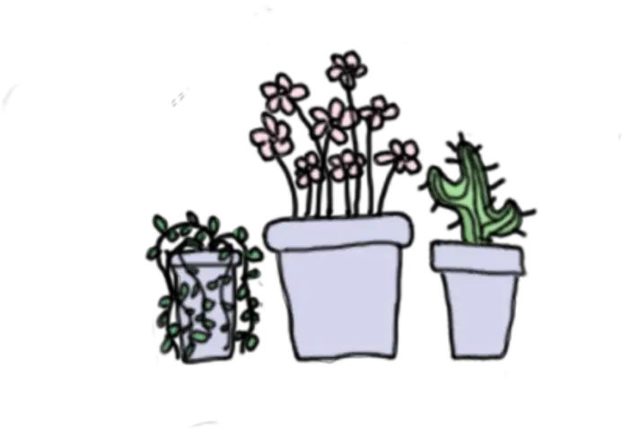 Aesthetic Cute Cactus Drawing Max Installer Aesthetic Cute Plants Transparent Png Tumblr Cactus Png