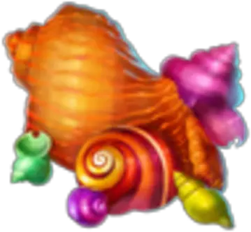 Seashells Lymnaeidae Png Seashells Png