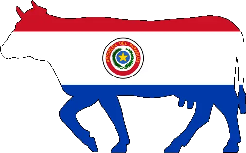 Paraguay Language Png Cow Icon