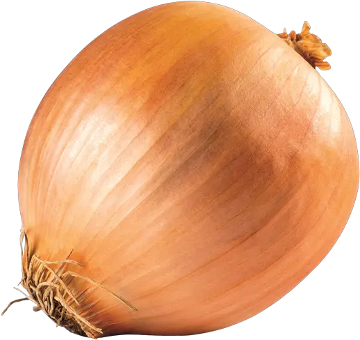 Yellow Onions Yellow Onion Png Onion Transparent