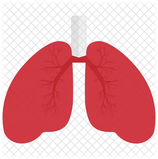 Lungs Icon Illustration Png Lungs Png
