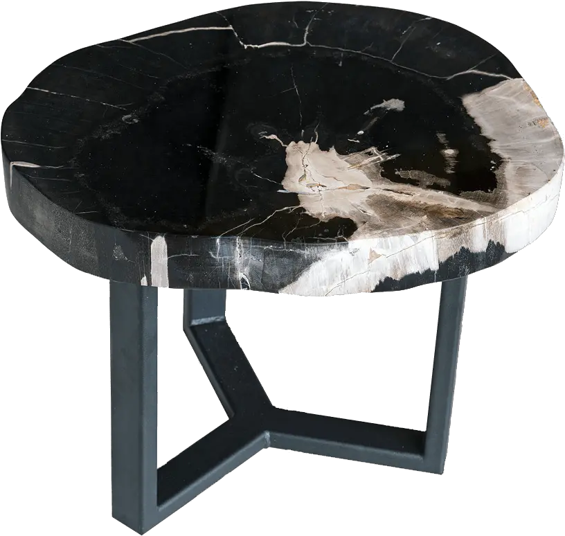 Petrified Wood Side Tables Unik Living Unique Tables End Table Png Side Table Png