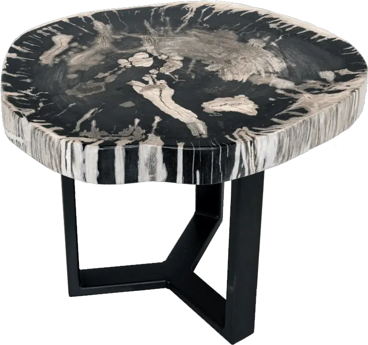 Petrified Wood Side Tables Unik Living Unique Tables Coffee Table Png Side Table Png