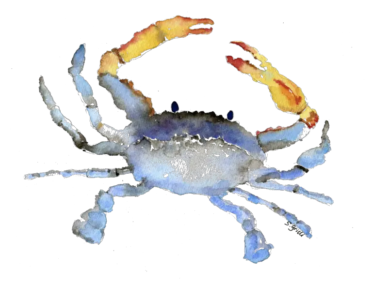 Download Cornelius The Crab Watercolor Watercolor Crab Transparent Background Png Crab Transparent Background