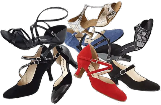 Wwwtoptanzdanceshoescom High Quality Fashion Dance Shoes Lace Up Png Dance Shoe Icon