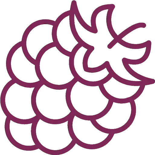Berry Blossom Face Oil By Liv Aronia For All Skin Types Vector Beer Hop Clipart Png Omega Squad Icon