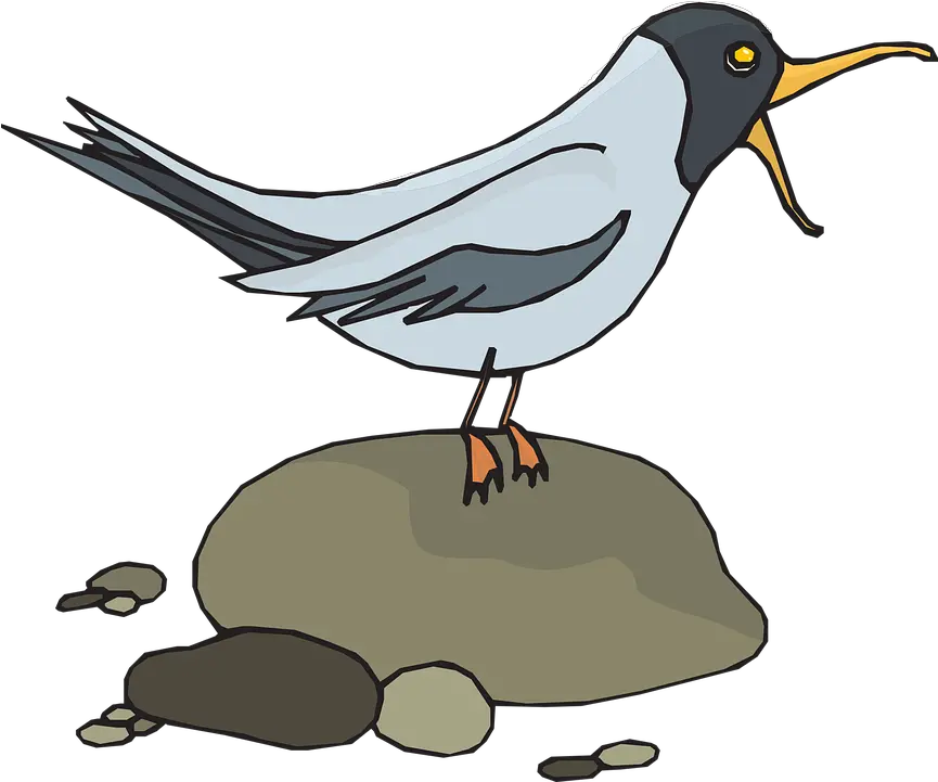 Gull Seagull Sea Gull Free Vector Graphic On Pixabay Bird Screeching Clipart Png Seagull Png