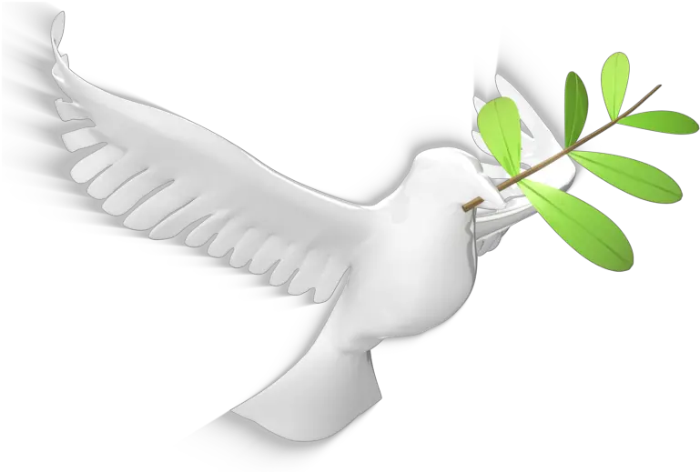 Olive Leaf 800 Clr Dove Holy Spirit Leaf Png Holy Spirit Png