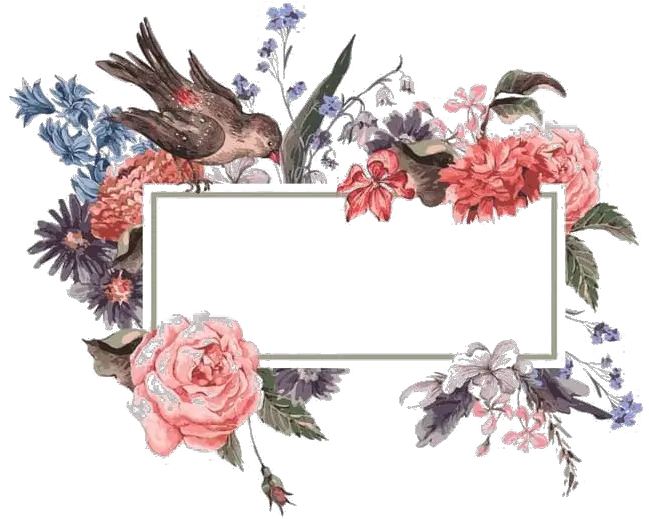 Watercolor Floral Flower Frame Png Transparent Mart Watercolor Flower Border Frame Cardinal Png