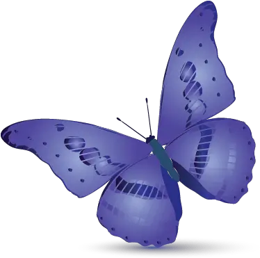 Simple Butterfly Logo Templates Holly Blue Png Butterfly Logos