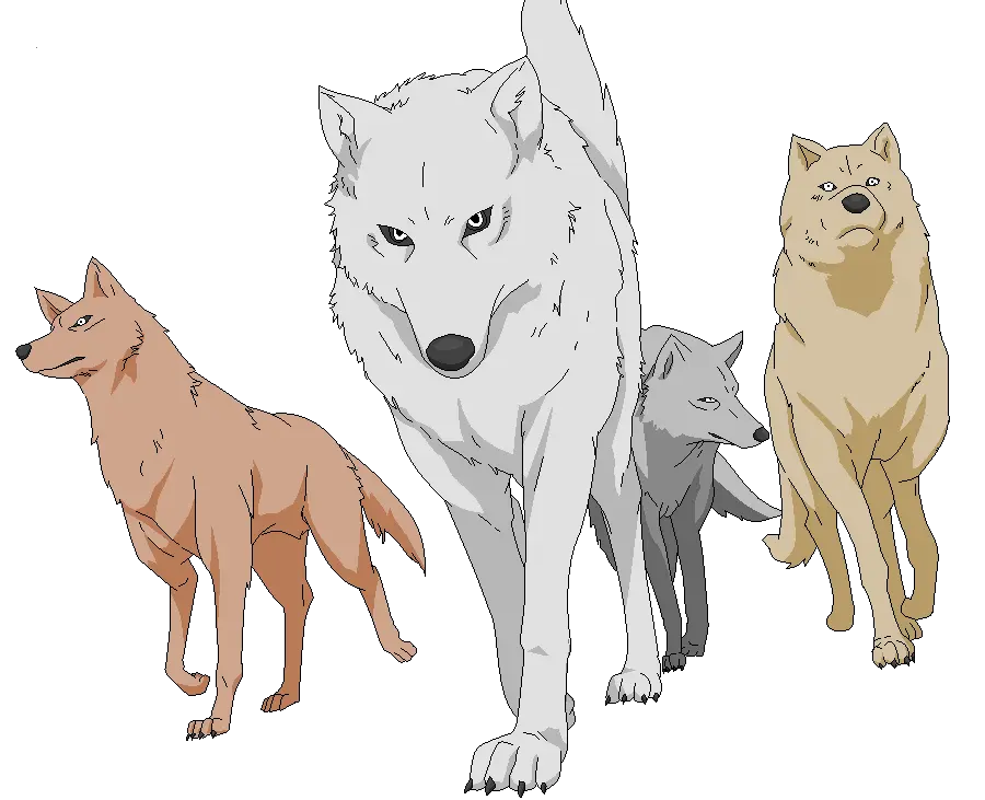 Download Hd Wolf Pack Png Picture Wolfsrain Wolves Wolf Pack Transparent Background Wolves Png