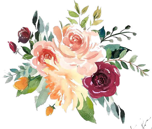 Watercolor Floral Png Watercolor Transparent Flower Vector Floral Pattern Png