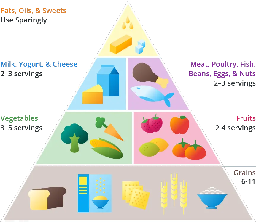 Food Pyramid Diagram Full Size Png Download Seekpng Diagram Of Food Pyramid Food Pyramid Png
