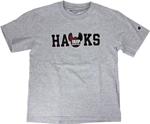 Youth T Shirt Hawks Logo By Champion The Coop Store Short Sleeve Png Champion Logo Font