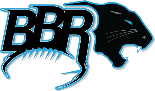 Carolina Panthers Png Logo Clip Art Panthers Png