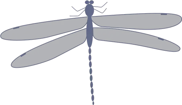 100 Free Dragonfly U0026 Insect Illustrations Pixabay Dragonfly Clip Art Png Dragonfly Transparent Background