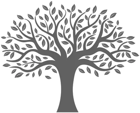 Flat Tree Silhouette Tree With Colorful Leaves Free Png Tree Of Life Png